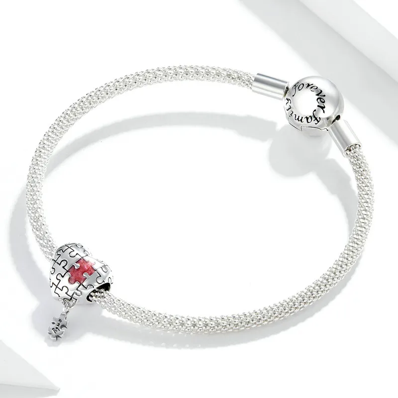 Pandora Style Silver Autism Charm - SCC1635