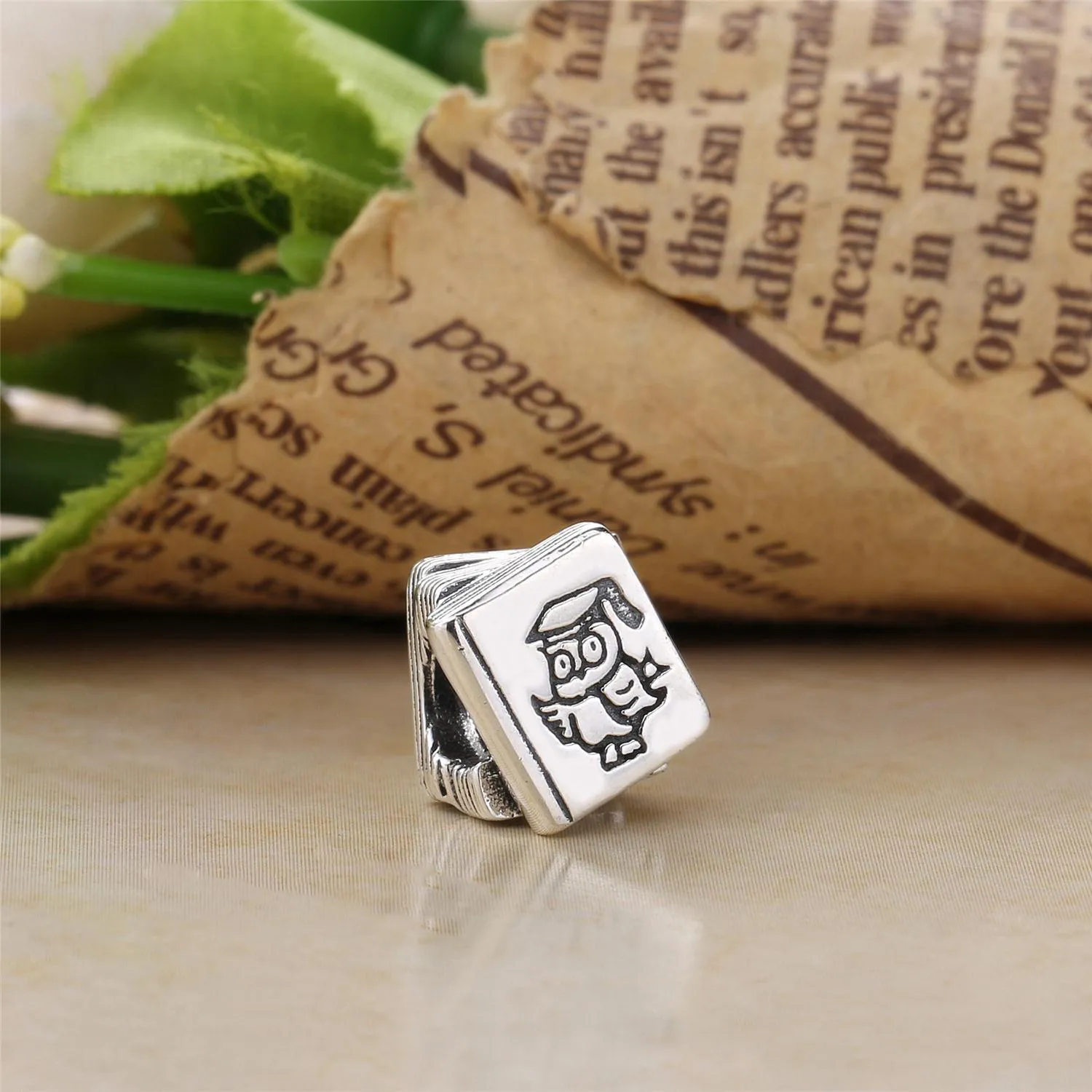 PANDORA Study Books With Owl Charm - 790536