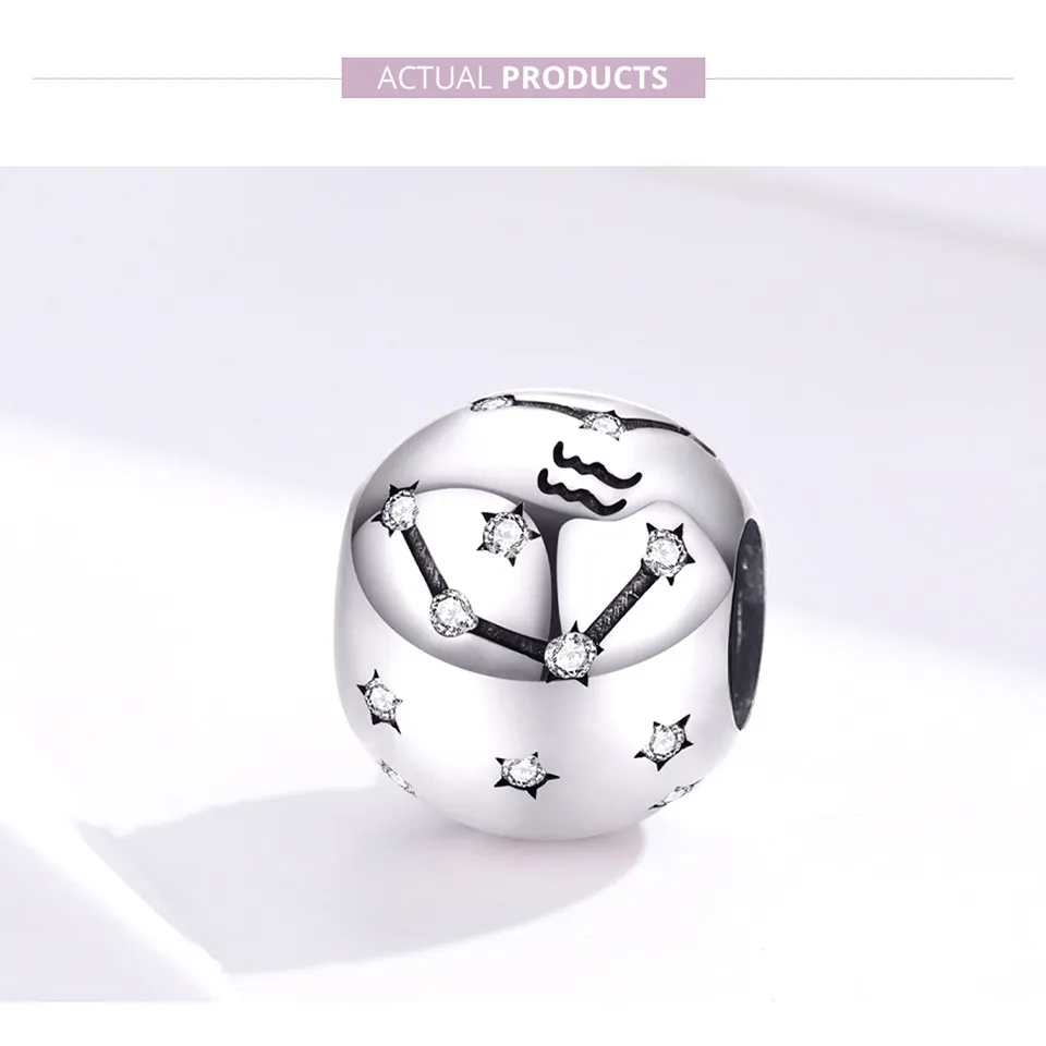 Pandora Style Silver Aquarius Charm - SCC1218-11